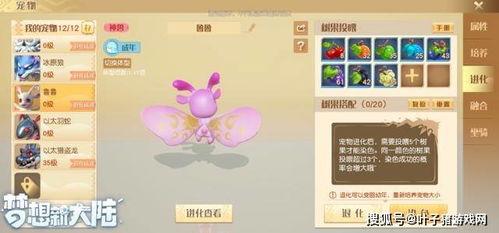 寻梦最新爆料消息